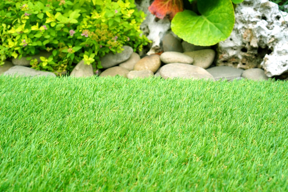 Where to install artificial turf Tampa FL